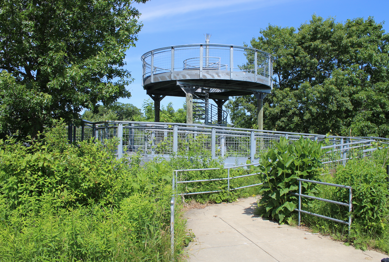 Observation tower at Spring Bluff Forest Preserve surrounded by lush green vegetation