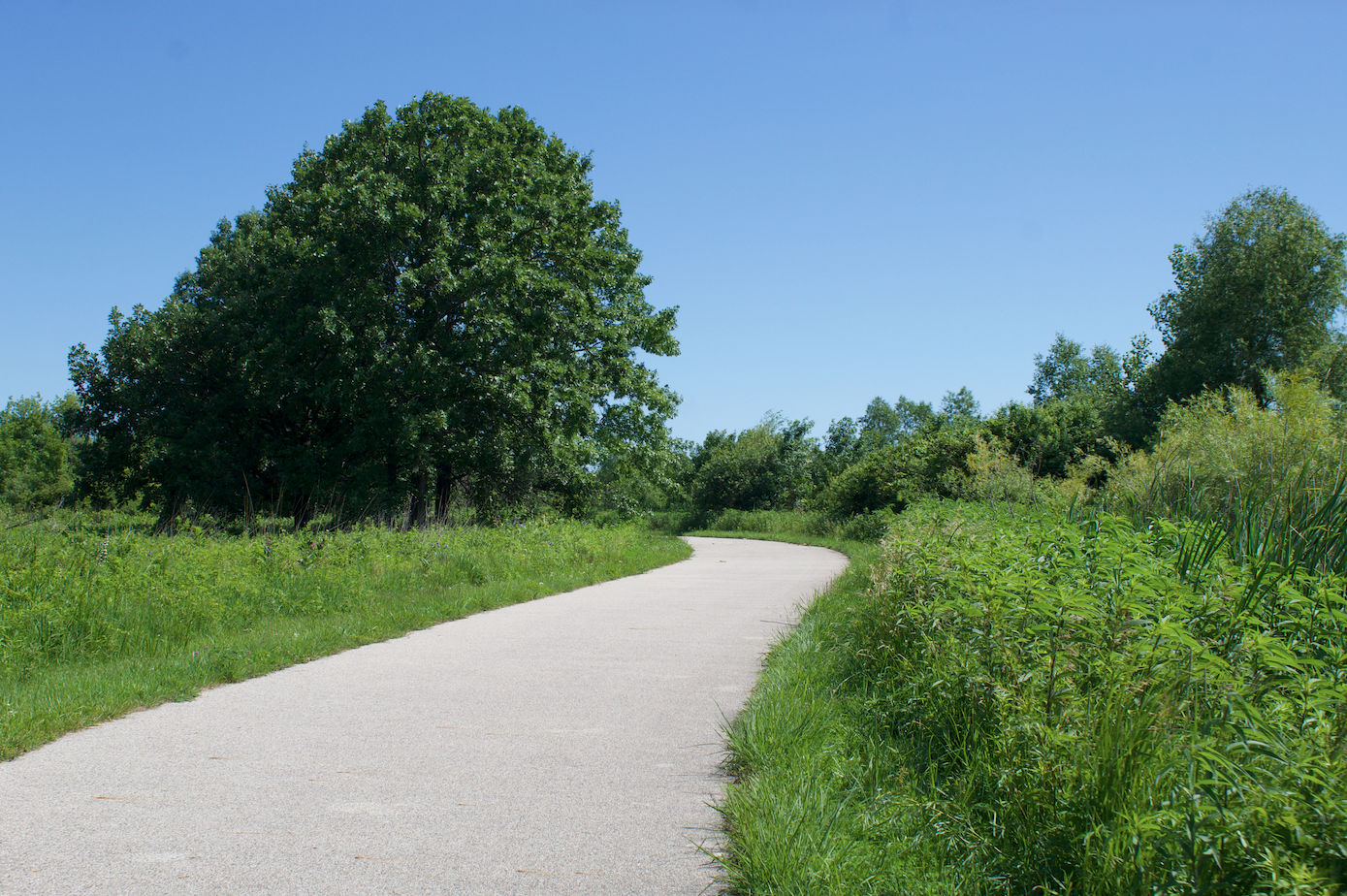 Paved trail winding through lush green vegetation at Spring Bluff Forest Preserve