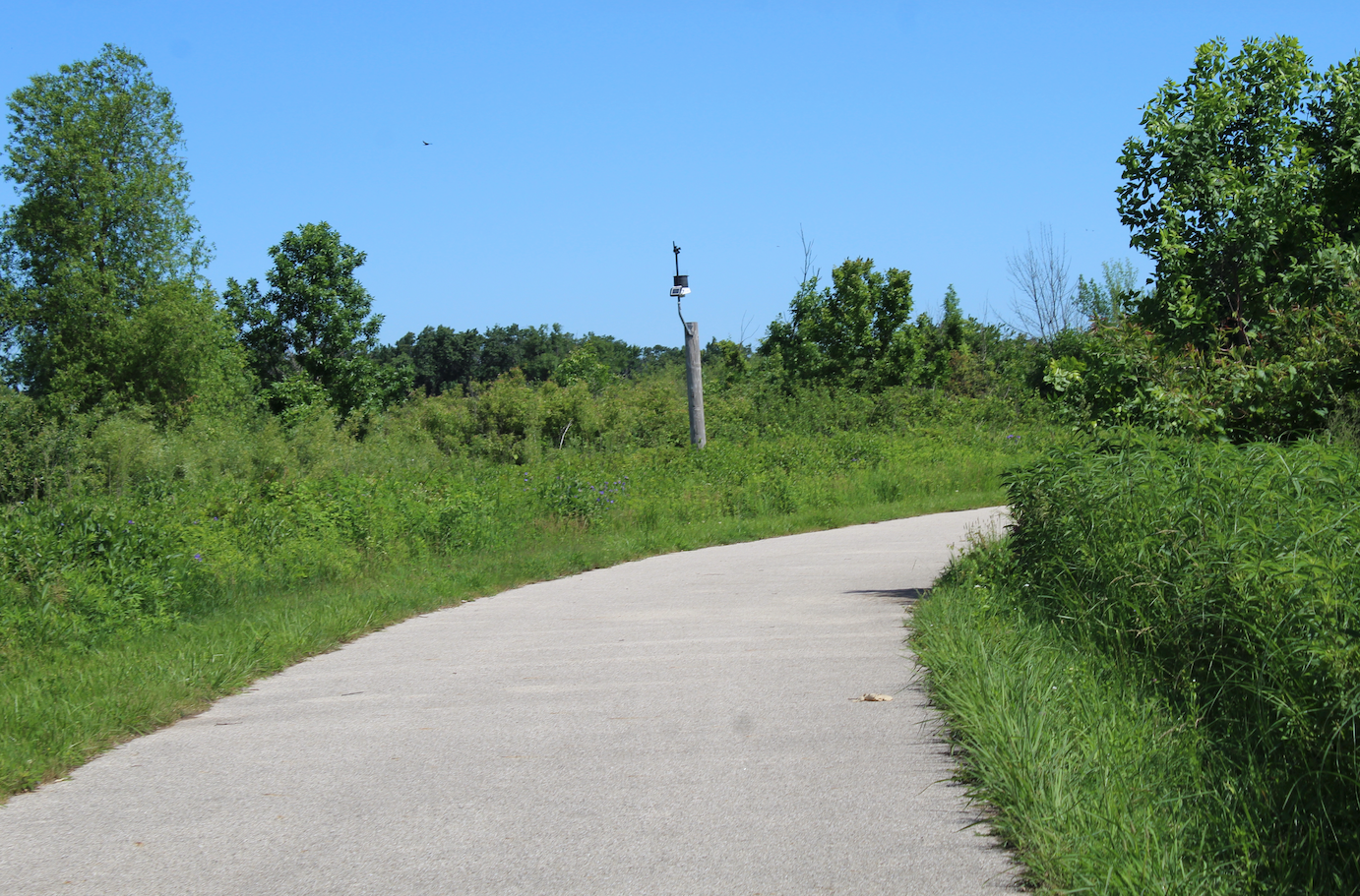 Paved trail through Spring Bluff Forest Preserve with bird monitoring station visible